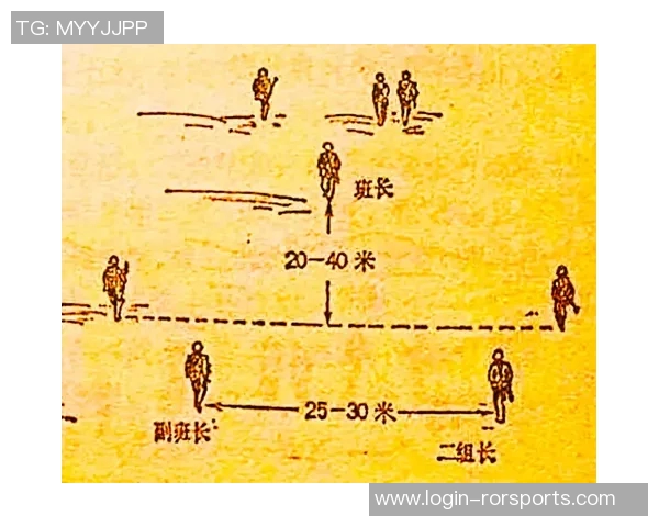 深入分析成都飞盘队阵地战打法的战术特点与应用策略